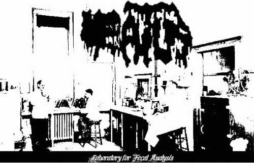 Meatus : Laboratory for Fecal Analysis